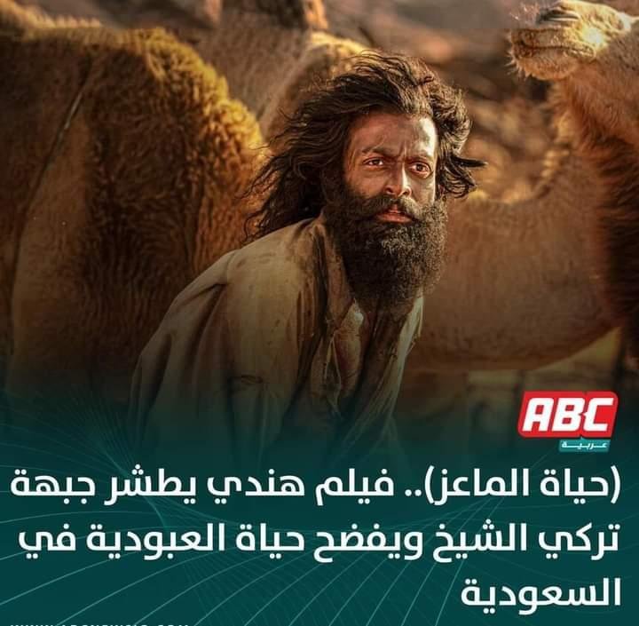 مواعدة مقيمين في سطيف, الجزائر