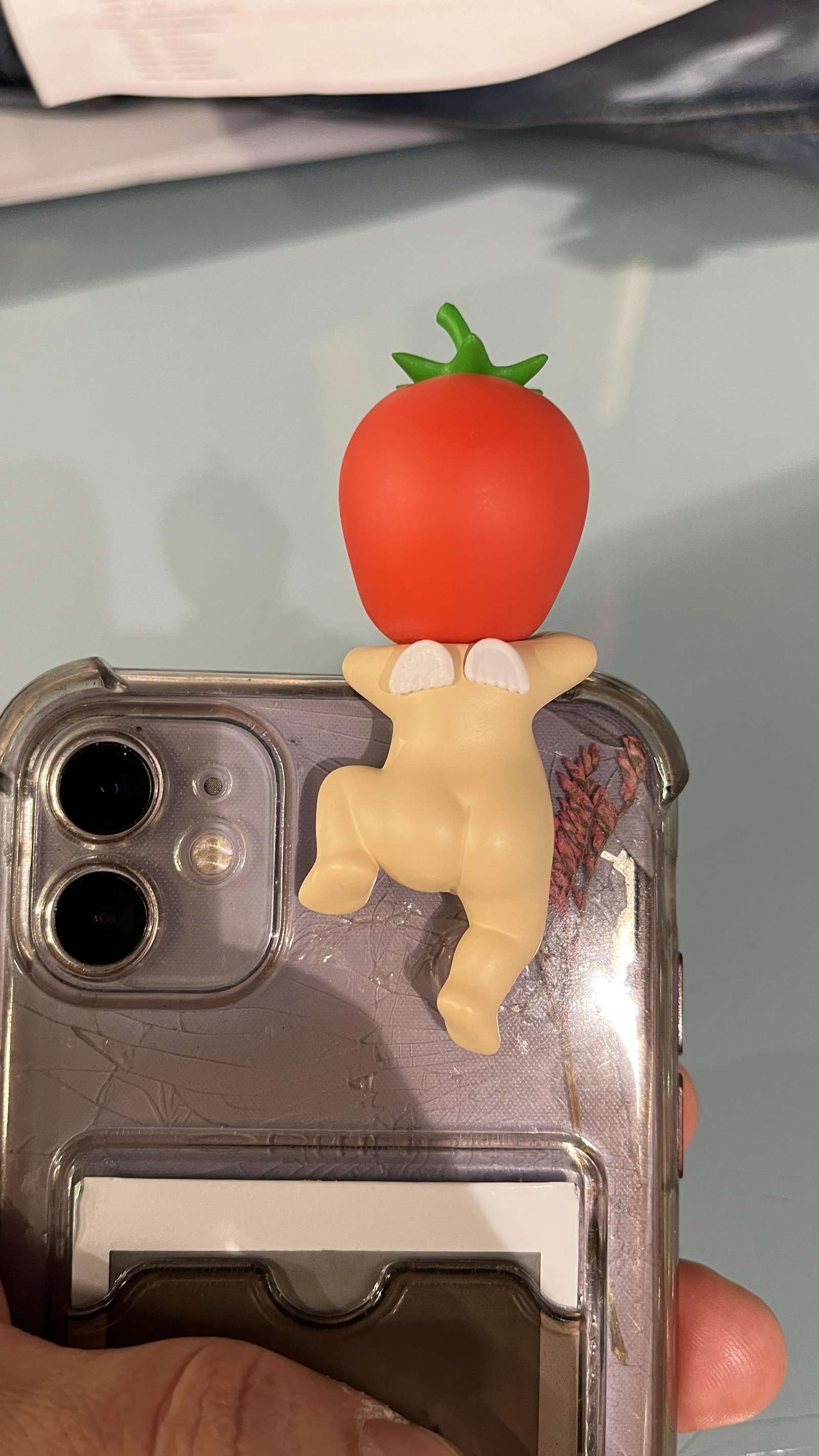 خطوبة في ميلبورن, أستراليا