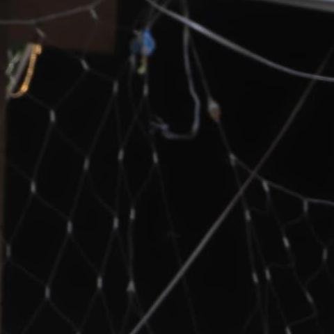 بشار العماد اليمن ذمار